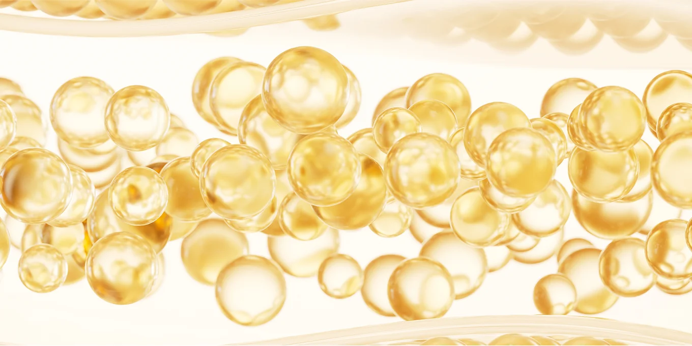 튠바디 레이저 비주얼