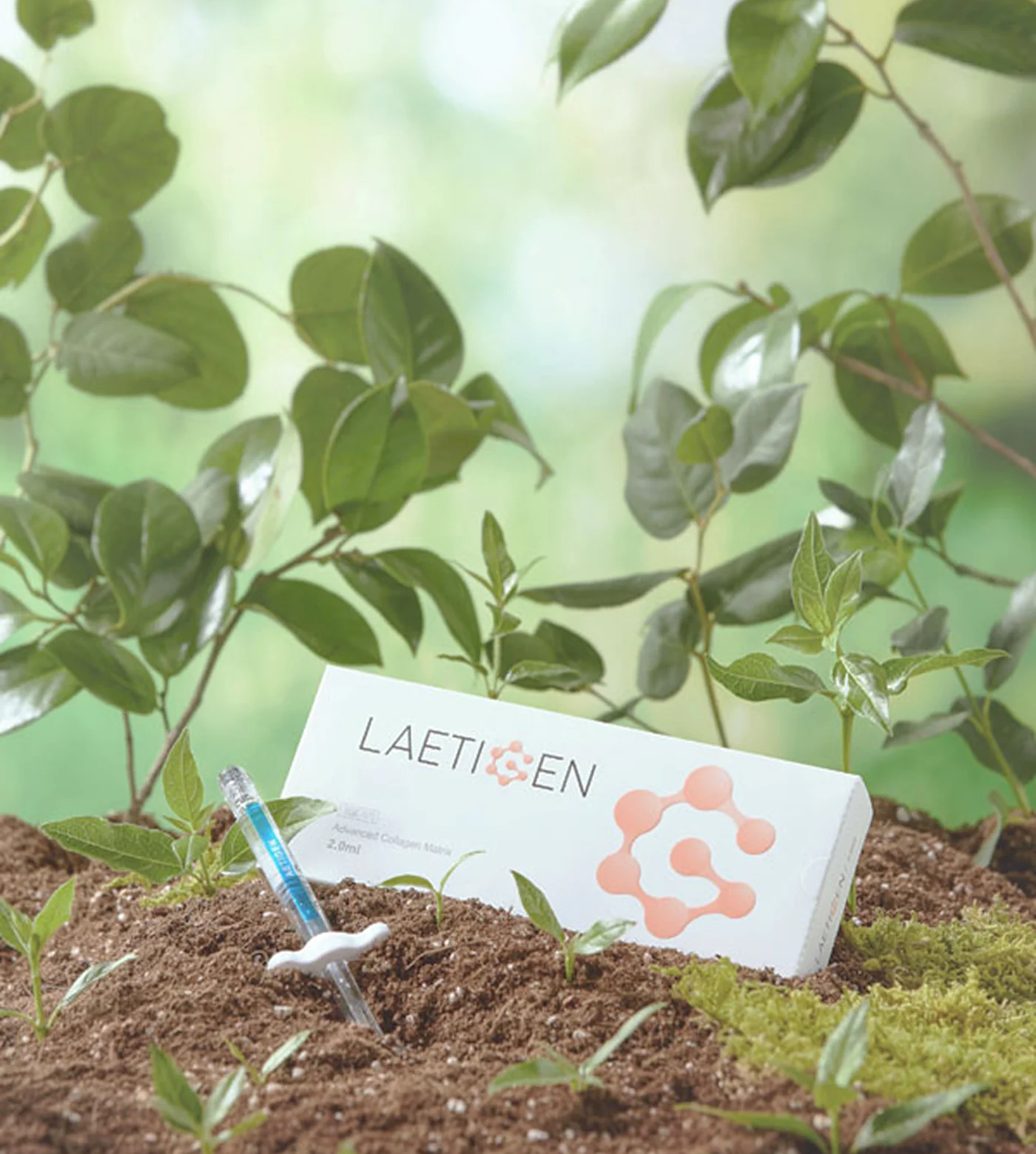 레티젠 시술 효과 이미지