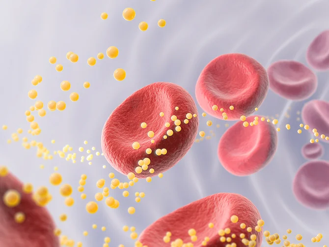 노폐물 배출 효과