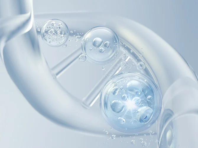 피부 탄력 회복 효과