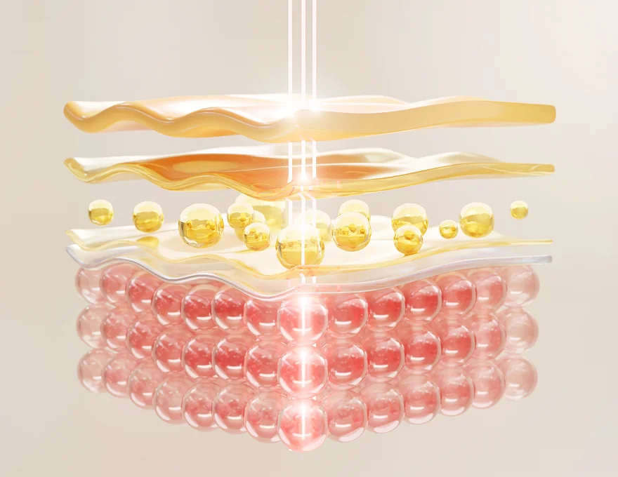 경제적 효율성 100% 샷 활용 아이콘